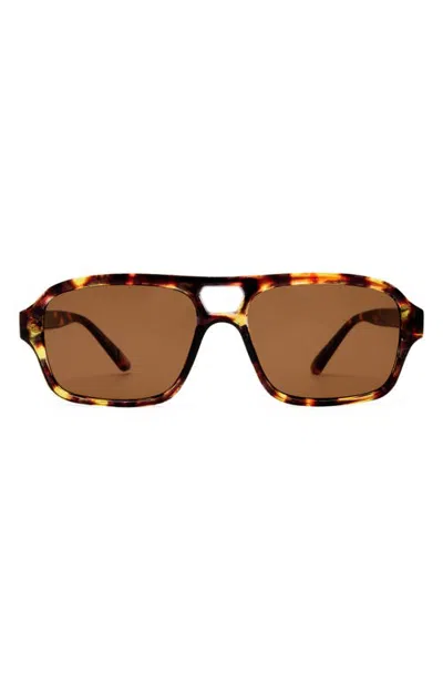 Aire Gender Inclusive Valeon 56mm Square Aviator Sunglasses In Amber Tort/brown Mono