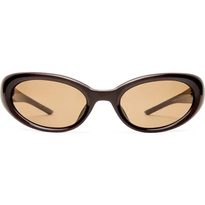 Aire Nimbus 57mm Small Oval Sunglasses In Chocolate/hazel Tint