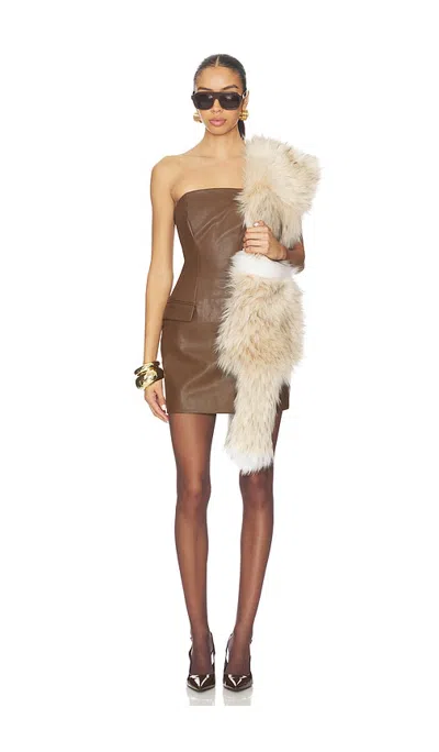 Aknvas Faux Fur Cream Boa In Brown