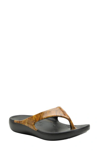 Alegria By Pg Lite Alegrai Ode Flip Flop In Charmed