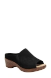 Alegria By Pg Lite Shilaine Clog In Stretch Black