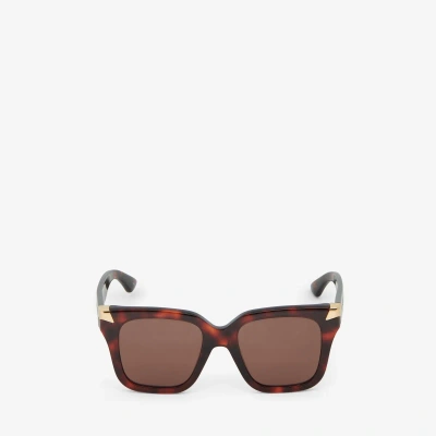 Alexander Mcqueen Punk Rivet Oversize Sunglasses In Brown