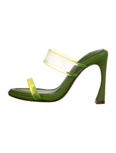 Pre-owned Alexandre Birman Rubber Slides In Clear/green