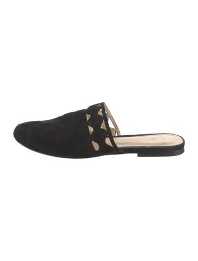 Pre-owned Alexandre Birman Suede Mules In Black