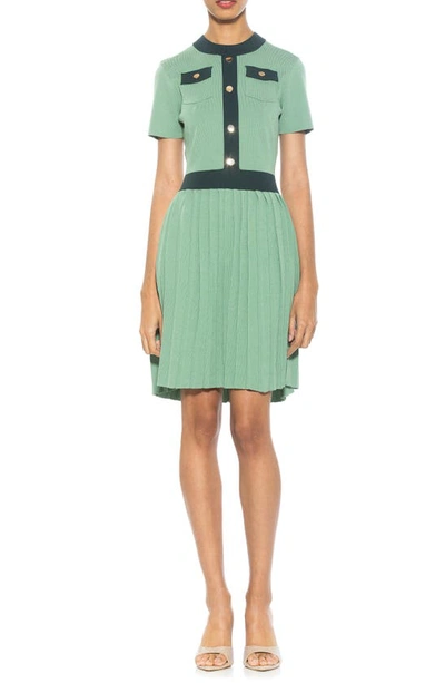 Alexia Admor Anders Short Sleeve Pleated Fit & Flare Dress In Sage