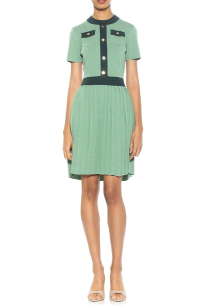 Alexia Admor Women's Anders Mini A Line Dress In Sage