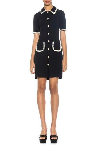 Alexia Admor Odette Knit Shirtdress In Black