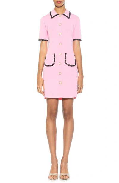Alexia Admor Odette Knit Shirtdress In Pink