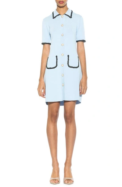 Alexia Admor Odette Knit Shirtdress In Halogen Blue