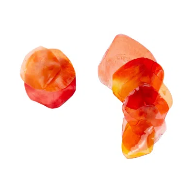 Alma Dos Mares Algae Degrade Earcuff In Orange