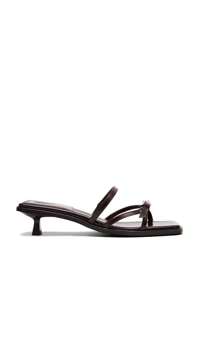 Alohas Liko Sandal In Rift Dark Brown