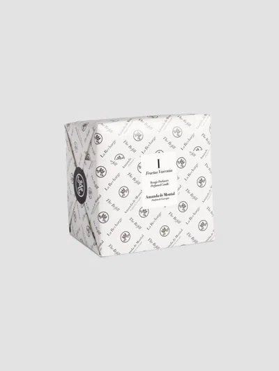 Amanda De Montal I Fructus Vasconia Candle Refill In White