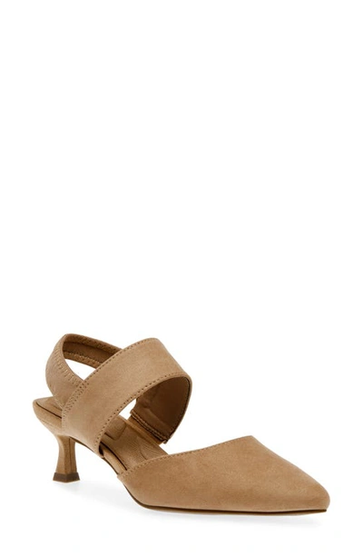 Anne Klein Izel Pointed Toe Pump In Sandstone Microsuede