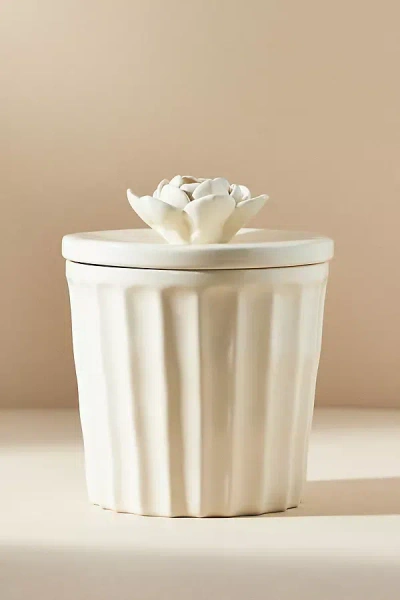 Anthropologie Giulia Canister In Neutral