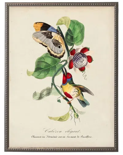 Antique Curiosities Vintage Barbet And Flower Print On A Distressed Background In Frame In Gray