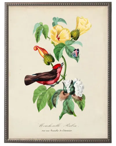 Antique Curiosities Vintage Flycatcher And Flower Print On A Distressed Background In Frame In Neutral
