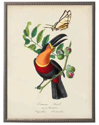 Antique Curiosities Vintage Toucan And Flower Print On A Distressed Background In Frame In Neutral