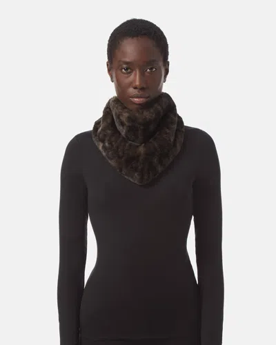 Apparis Cat Leopard Bandana Scarf In Dark Leopard