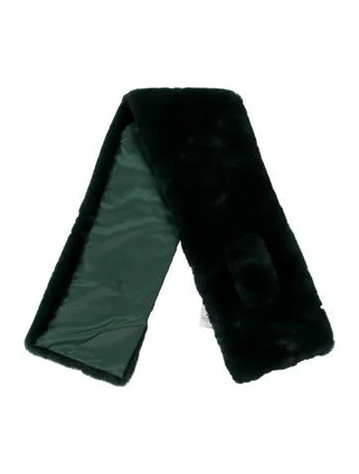 Pre-owned Apparis Scarf W/ Tags In Green