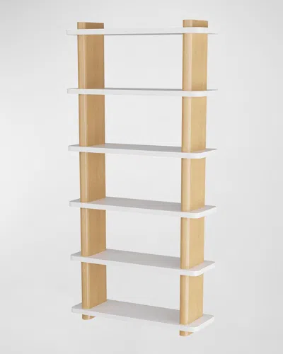 Arteriors Triton Bookshelf In Brown