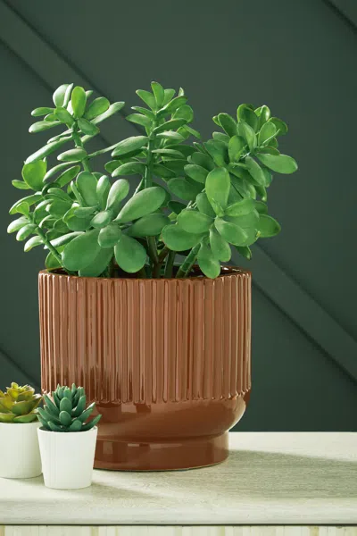 Ashley Avalyah Short Indoor/outdoor Vase (set Of 2) In Burnt Umber