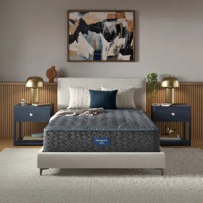 Ashley Beautyrest Level Two Medium 14 In. Queen Mattress In Black