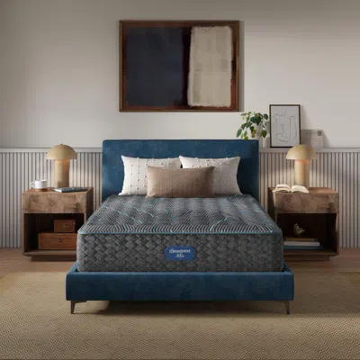 Ashley Beautyrest Level Two Plush 14 In. Queen Mattress In Black