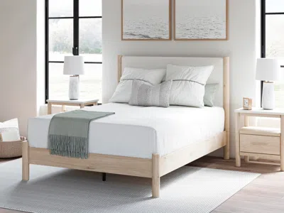 Ashley Cadmori Queen Upholstered Panel Bed In Two-tone