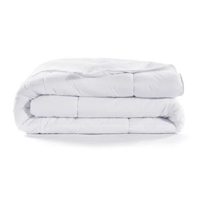 Ashley Hiend Accents Down 1-piece Queen Duvet Insert In White