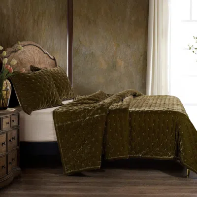 Ashley Hiend Accents Stella 3- Piece King Quilt Set In Green Ochre