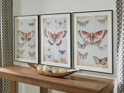Ashley Jossletts Butterfly Wall Art (set Of 3) In Orange/black/ivory