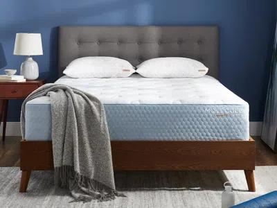 Ashley Molecule Copperwell Medium Gel Memory Foam And Innerspring 13 Inch Full Mattress In White