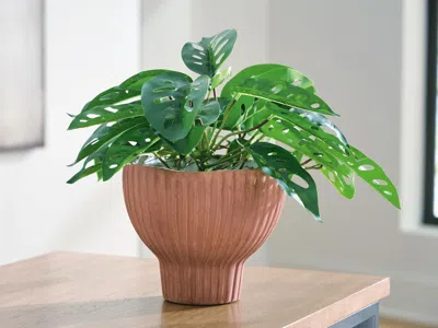 Ashley Orban Vase In Sienna/white