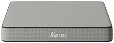 Ashley Siena Essential Hybrid 8 Inch Twin Xl Mattress In Gray