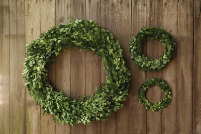 Ashley Storied Home Preserved Boxwood Wreath Wall Decor In Deep Green