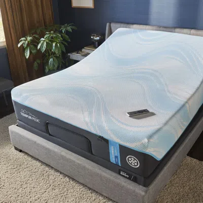Ashley Tempur Ergo Twin Xl Power Base In Black