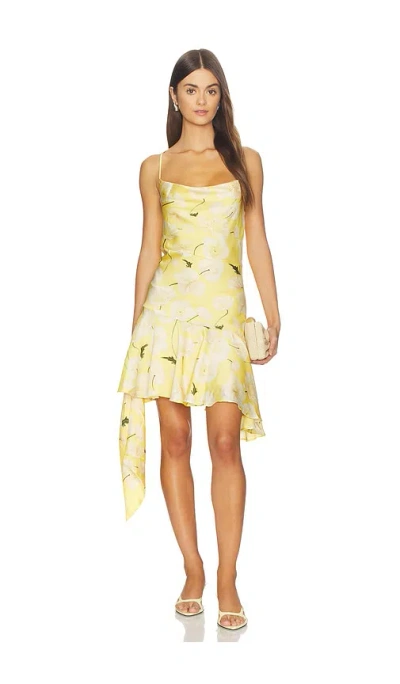 Astr Paloma Dress In Tangerine Floral