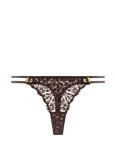 Aubade Crazy In Love ソング In Brown