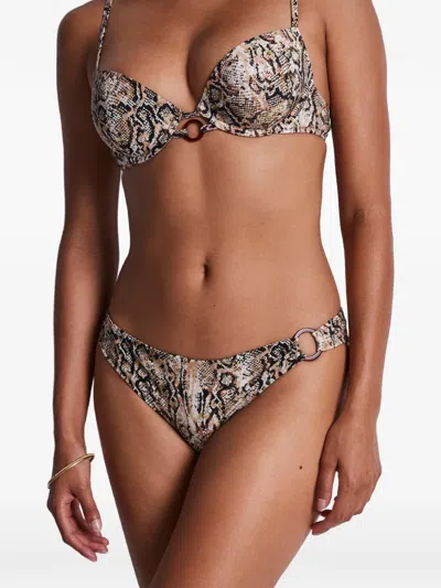 Aubade Fierce Spirit Snake-print Bikini Bottoms In Brown