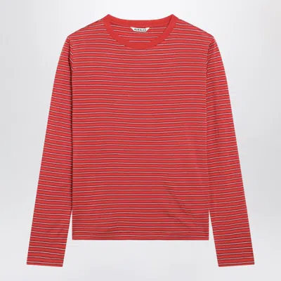 Auralee Red Striped Tshirt In Wool