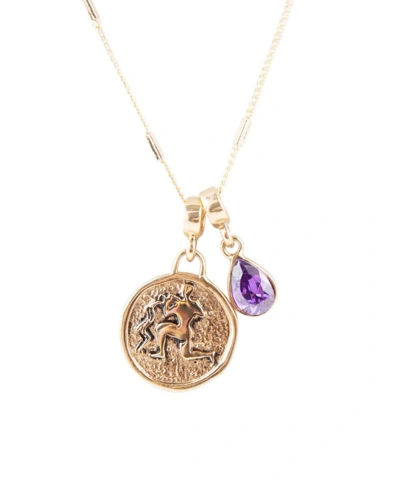 Barse Zodiac Coin Genuine Teardrop Charm Necklace In Aquarius-genuine Amethyst