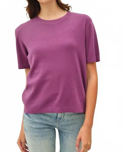 Be Cool Women's Cashmere Touch Sweater In Purple In Multi
