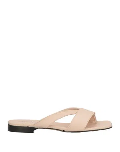 Bervicato Woman Thong Sandal Blush Size 8 Leather In Pink