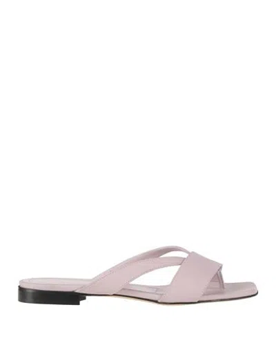 Bervicato Woman Thong Sandal Lilac Size 8 Leather In Purple