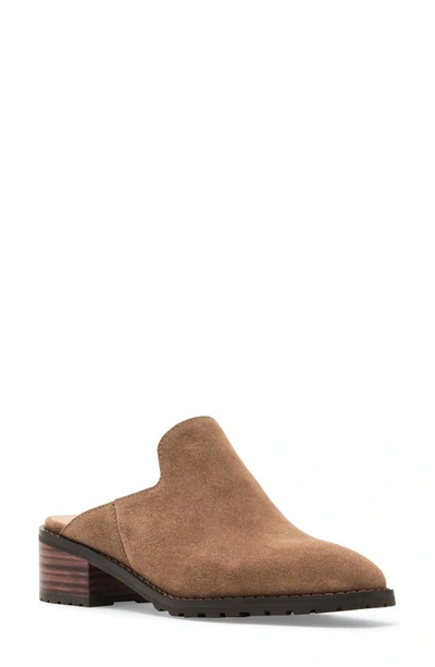 Blondo Stelle Block Heel Mule In Dark Taupe Suede