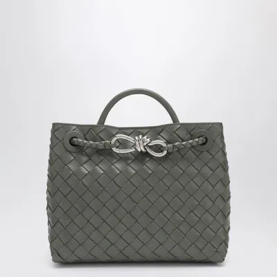 Bottega Veneta | Andiamo Small Bag In Pickle Colour In Green