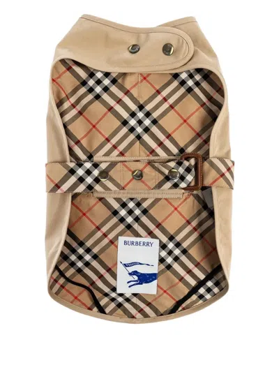 Burberry Hm Dog Trench Coat In Beige