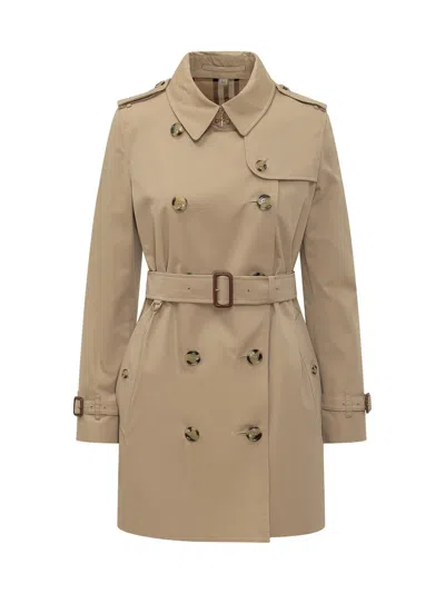Burberry Mini Trench Coat For Spring/summer 2026 In Brown