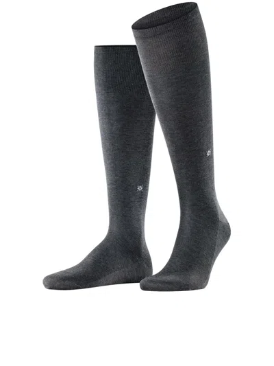 Burlington Cardiff Gambaletti In Gray