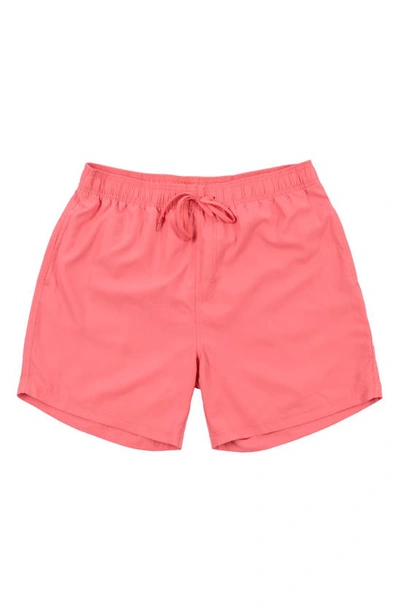 Burnside 17" Swim Trunks In Coral